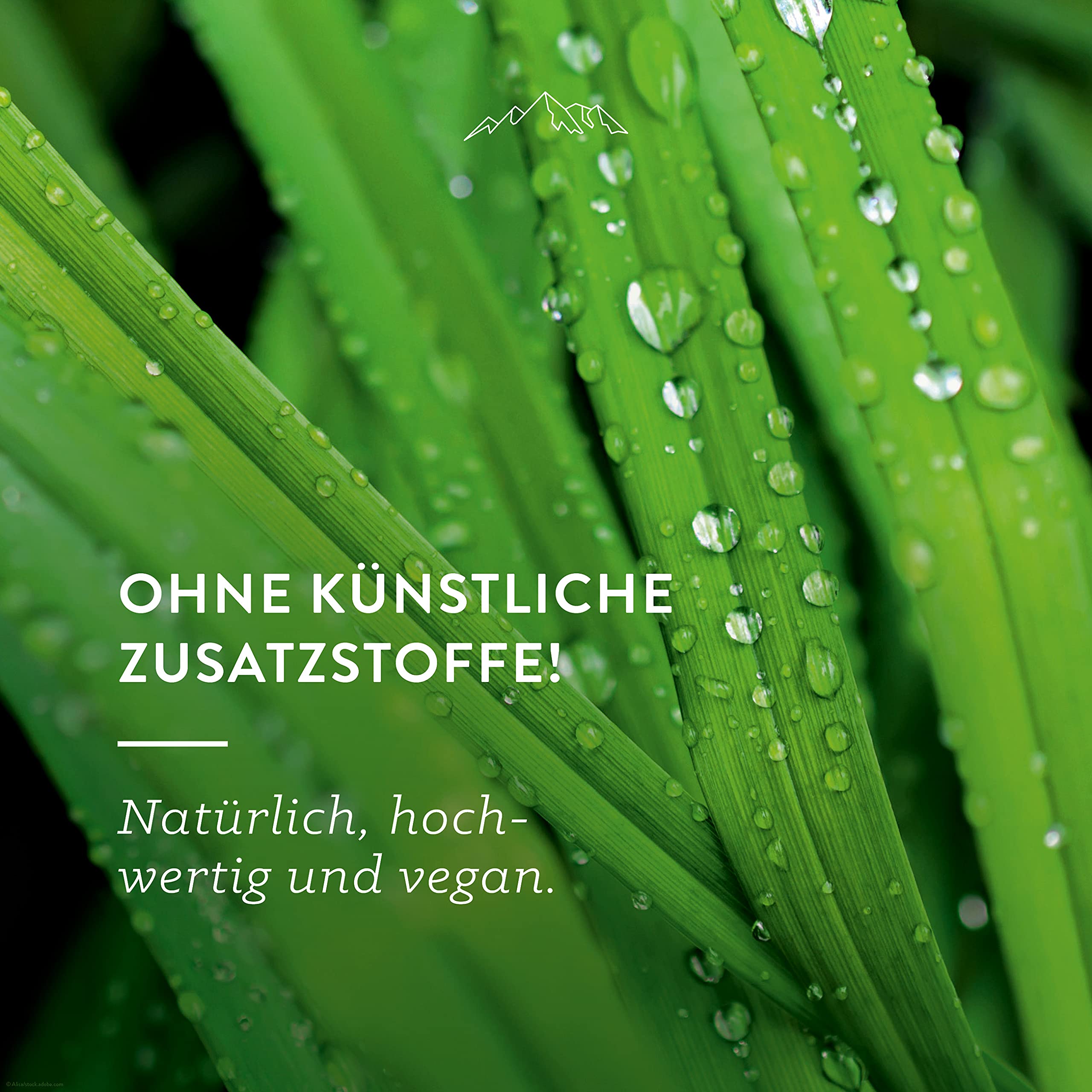 allg-uquelle-frische-kick-bio-duft-l-lemongrass-5-ml-diffusor image 3