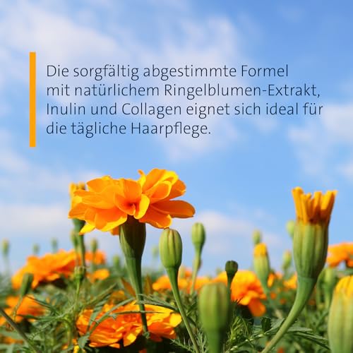 sanct-bernhard-ringelblumen-shampoo-500-ml-empfindliche-kopfhaut image 8