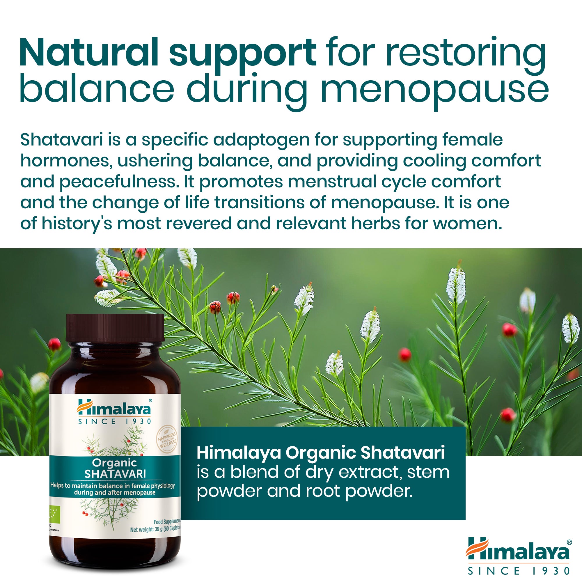 himalaya-bio-shatavari-frauen-60-tabletten-wechseljahre image 5