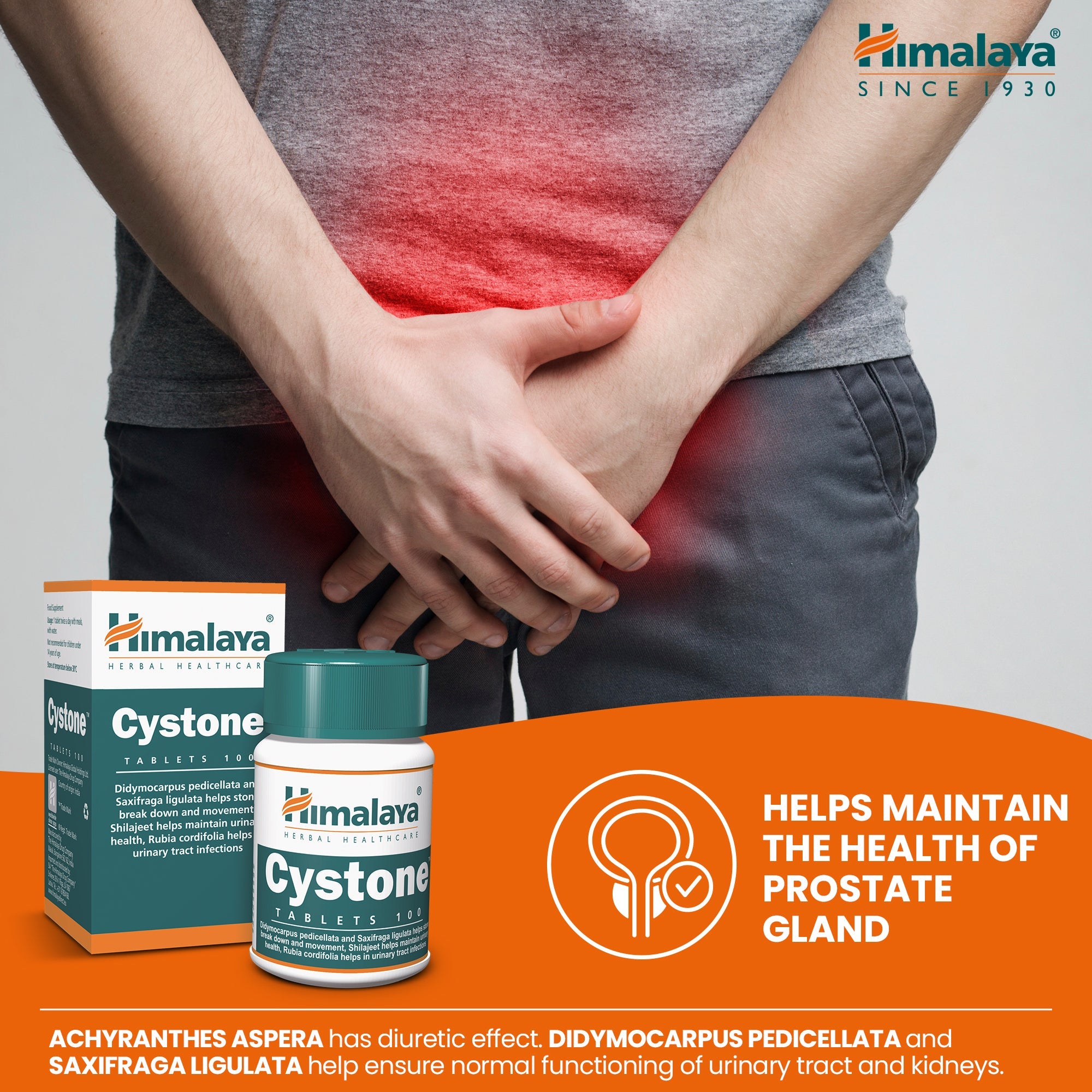 himalaya-cystone-tabletten-100-stk-nieren-harnwege image 4