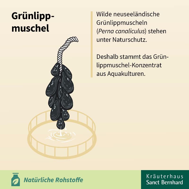sanct-bernhard-muschelenergie-plus-gr-nlippmuschel-q10-120-kapseln image 4
