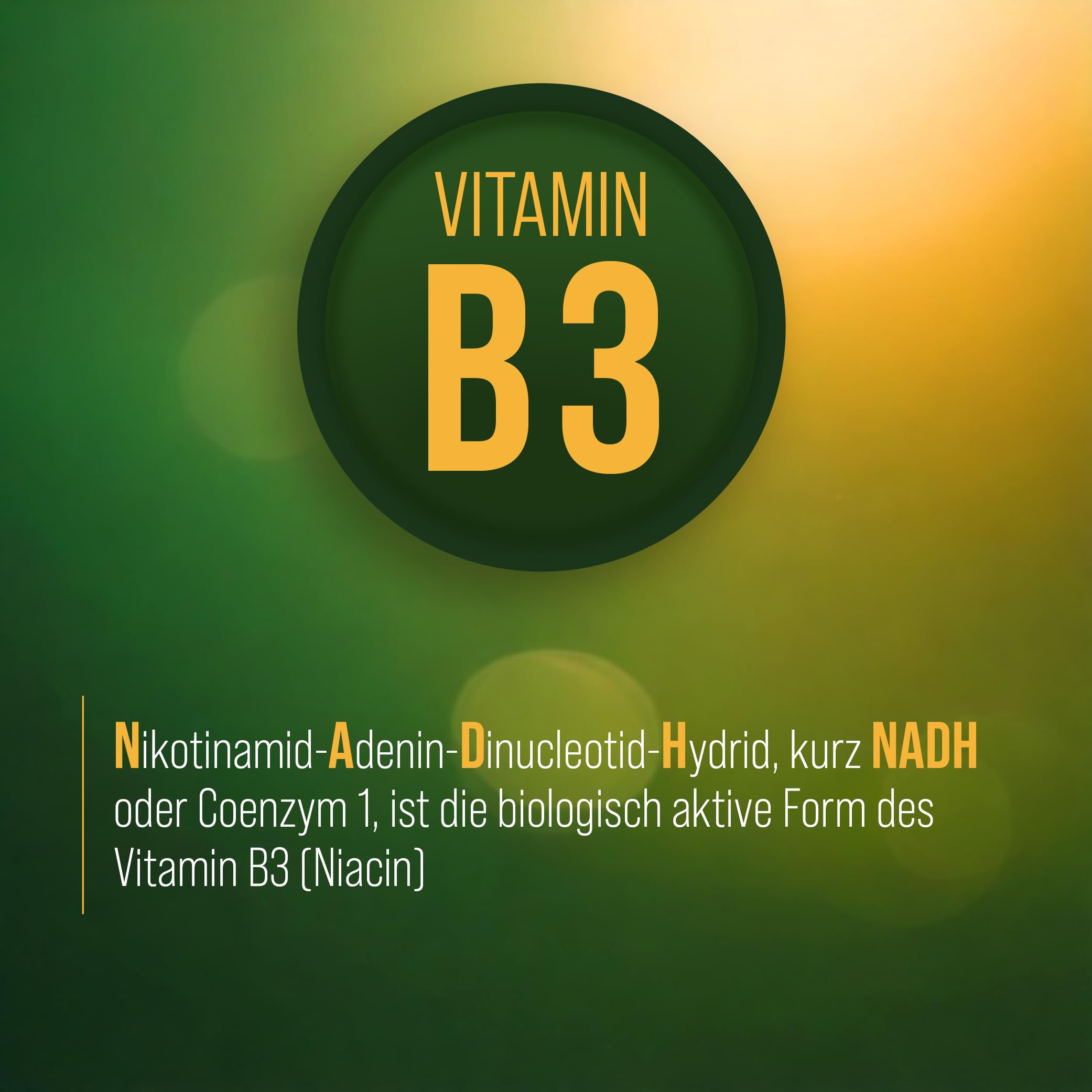 sanct-bernhard-nadh-kapseln-20-mg-30-kapseln-vitamin-b3 image 2