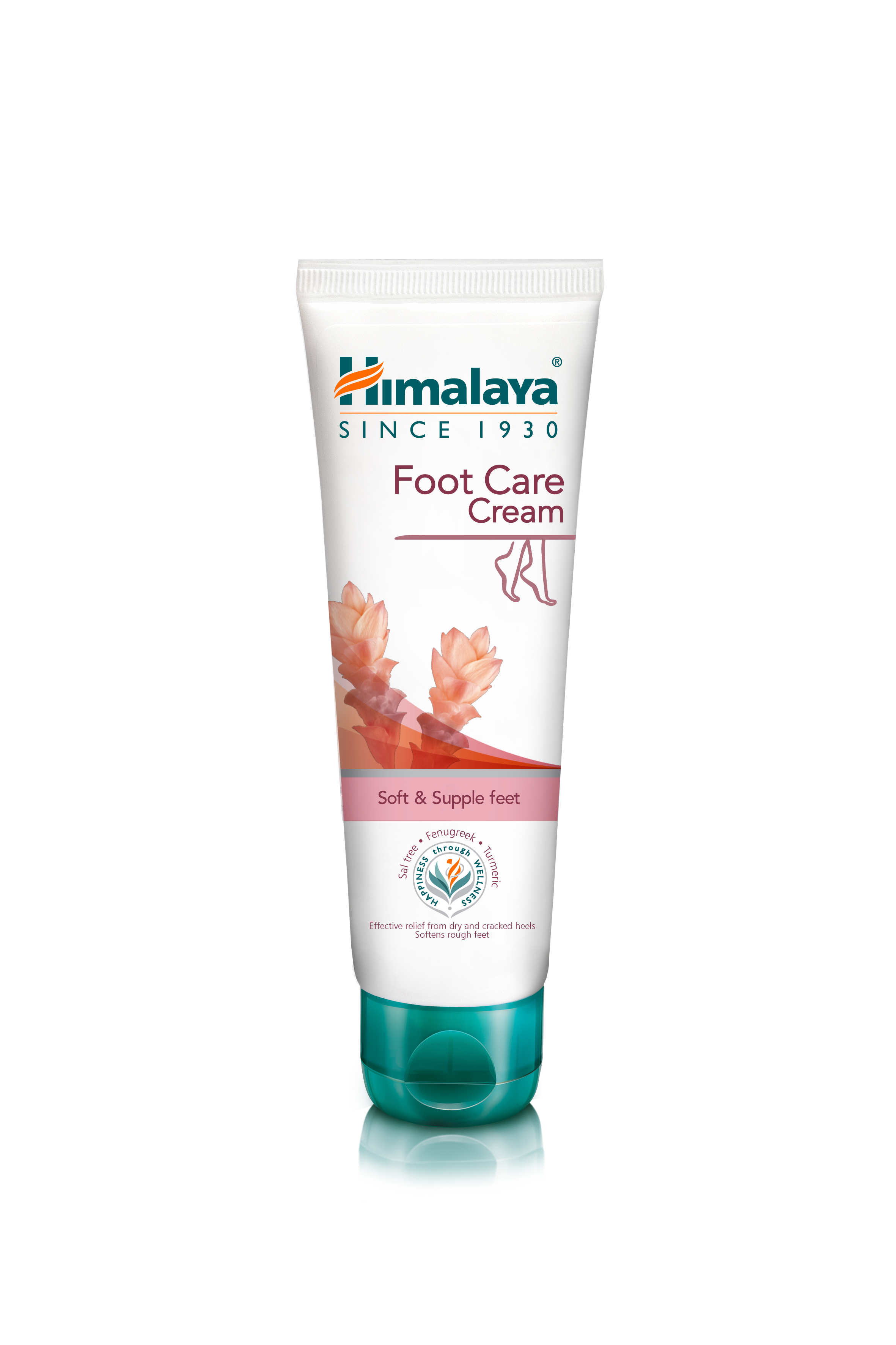 himalaya-k-rperpflege-fu-pflegecreme-f-r-rissige-fersen-75-ml image 1