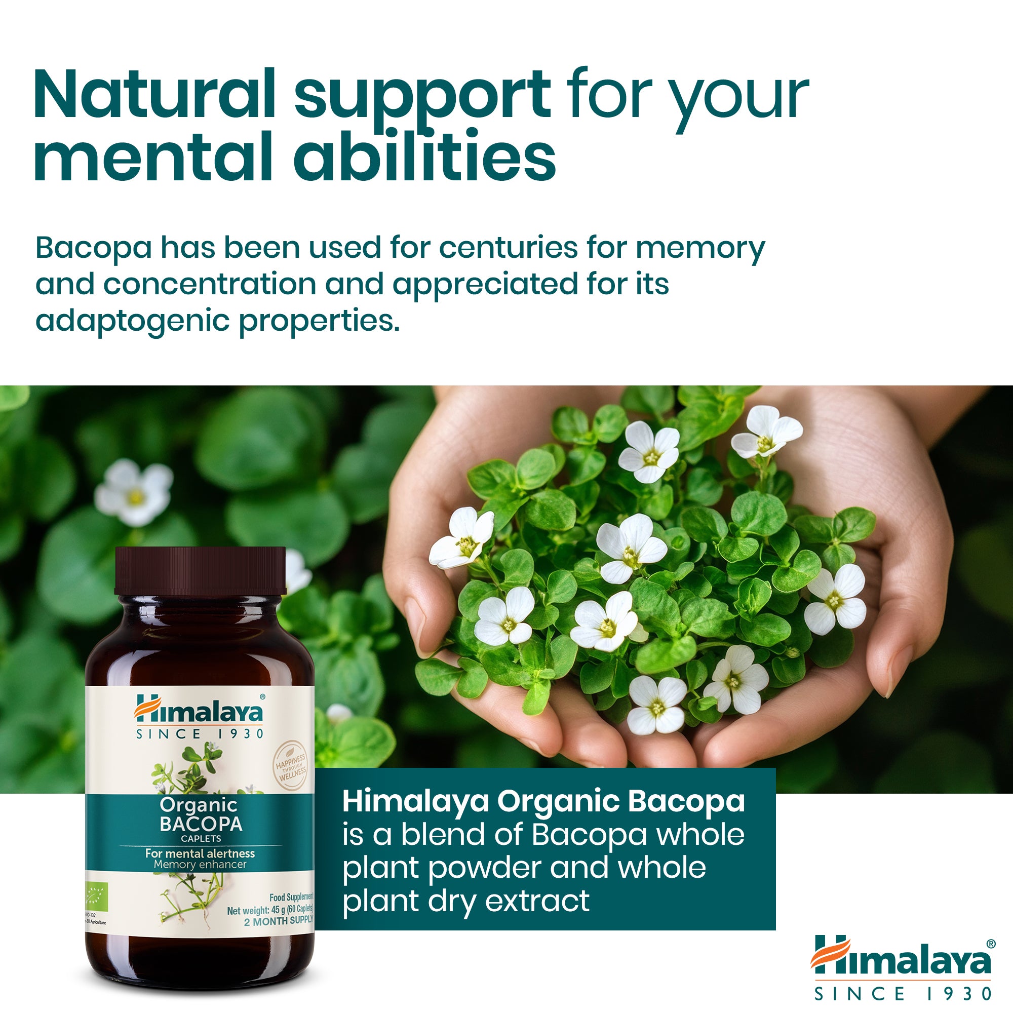 himalaya-bio-bacopa-brahmi-kapseln-60-kapseln-f-r-ged-chtnis image 3