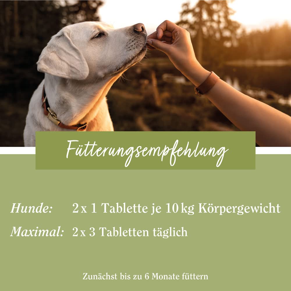 sanct-bernhard-tierlieb-herz-kreislauf-tabletten-hund-180-tabletten image 2