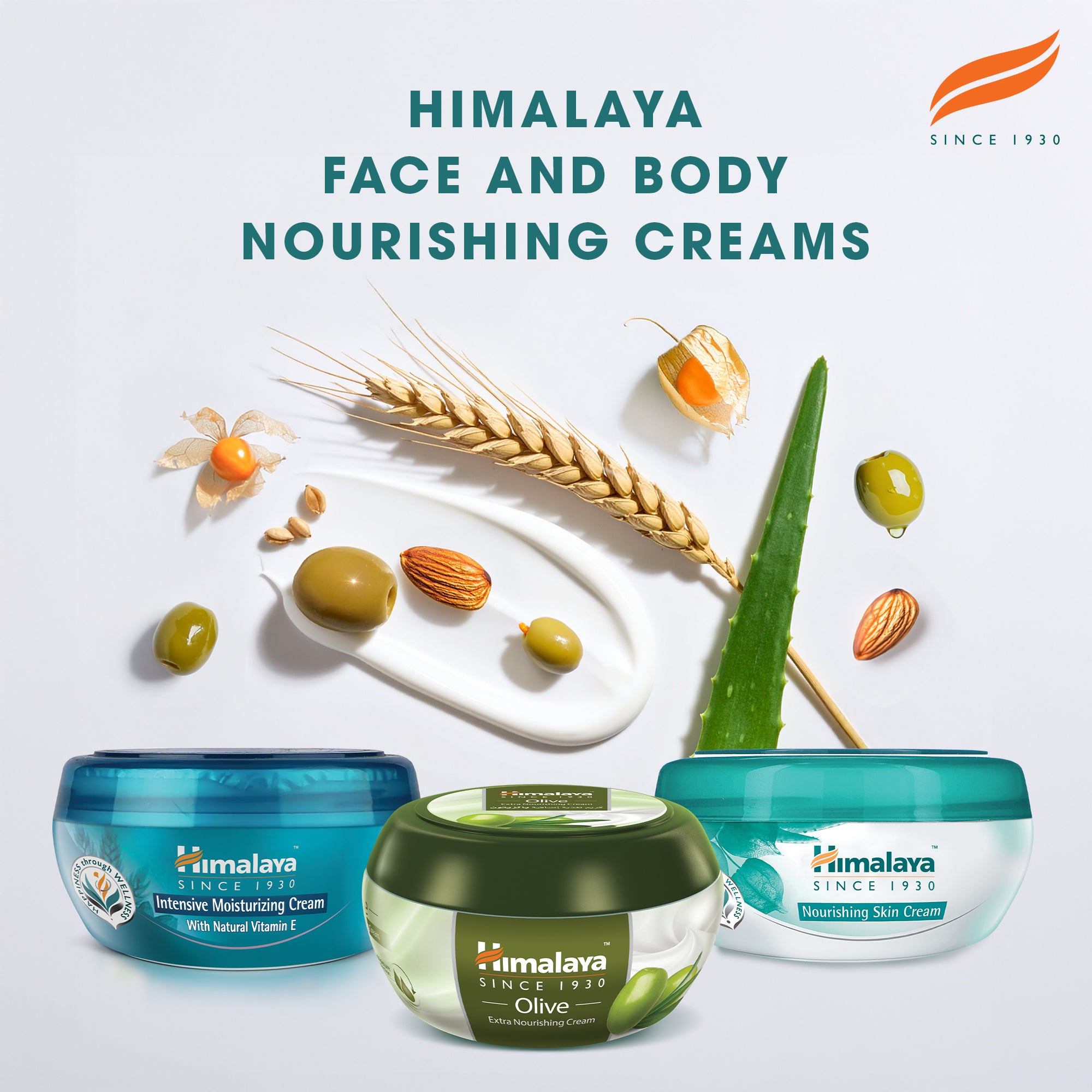 himalaya-n-hrende-hautcreme-hautcreme-150-ml-aloe-vera image 6
