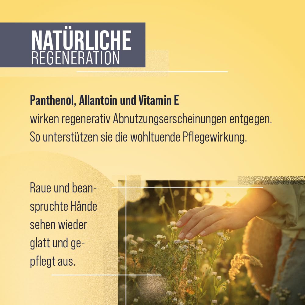 sanct-bernhard-handr-cken-regenerations-set-kur-100ml-handschuhe image 5