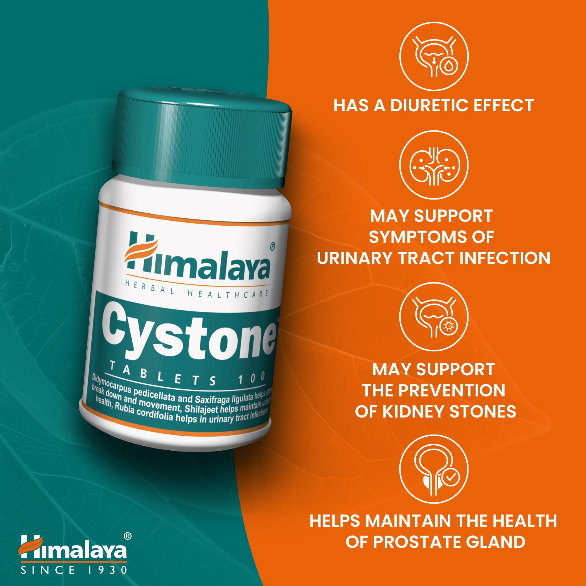 himalaya-cystone-tabletten-100-stk-nieren-harnwege image 5
