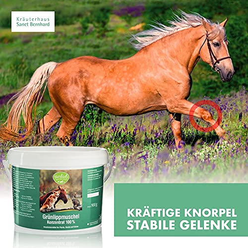 tierlieb-gr-nlippmuschel-konzentrat-900-g-hund-pferd-katze image 7