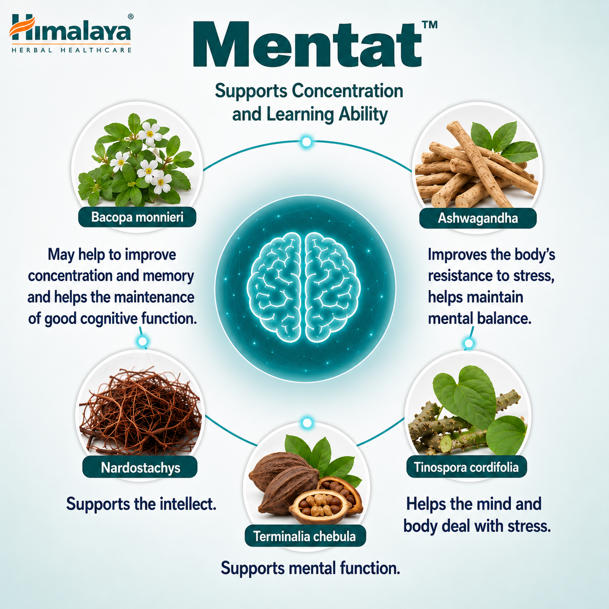 himalaya-mentat-tabletten-50-st-ck-ged-chtnis-fokus image 7