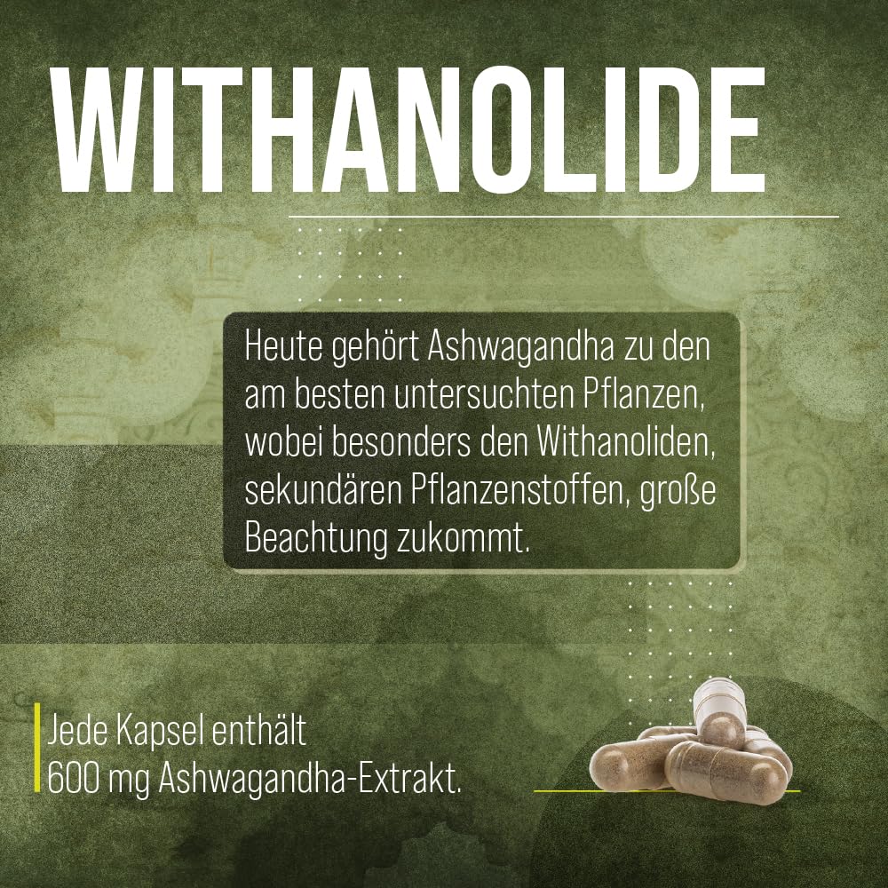 kr-uterhaus-sanct-bernhard-ashwagandha-kapseln-60-st-ck-600-mg-vegan image 5