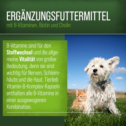 sanct-bernhard-vitamin-b-komplex-f-r-hunde-120-kapseln image 7