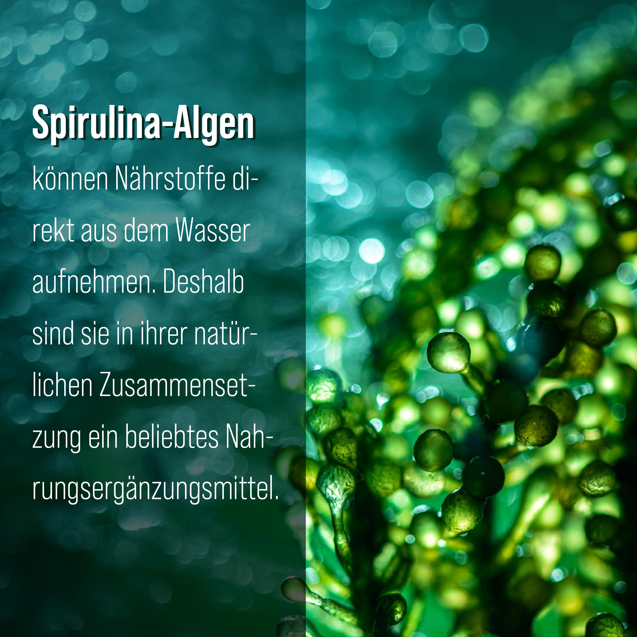 sanct-bernhard-spirulina-kapseln-360-st-ck-mikroalgen image 3