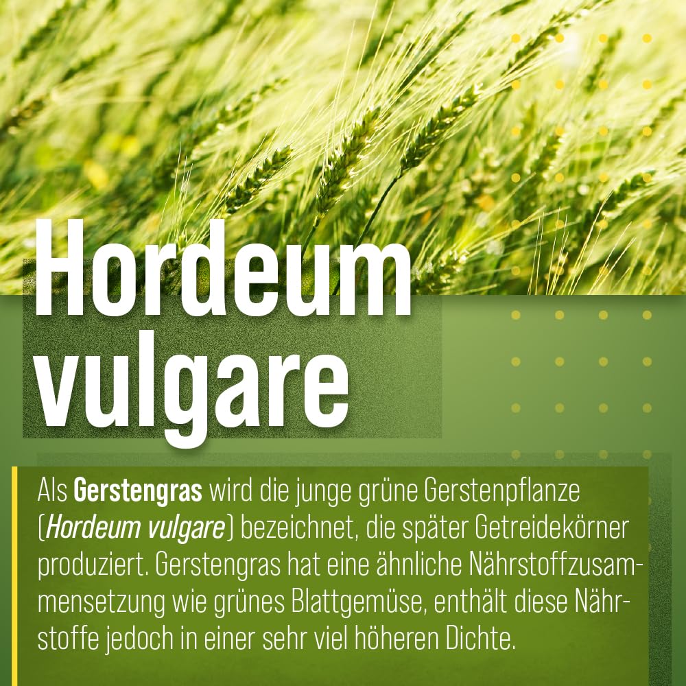 sanct-bernhard-bio-gerstengras-pulver-extraqualit-t-350-g image 2