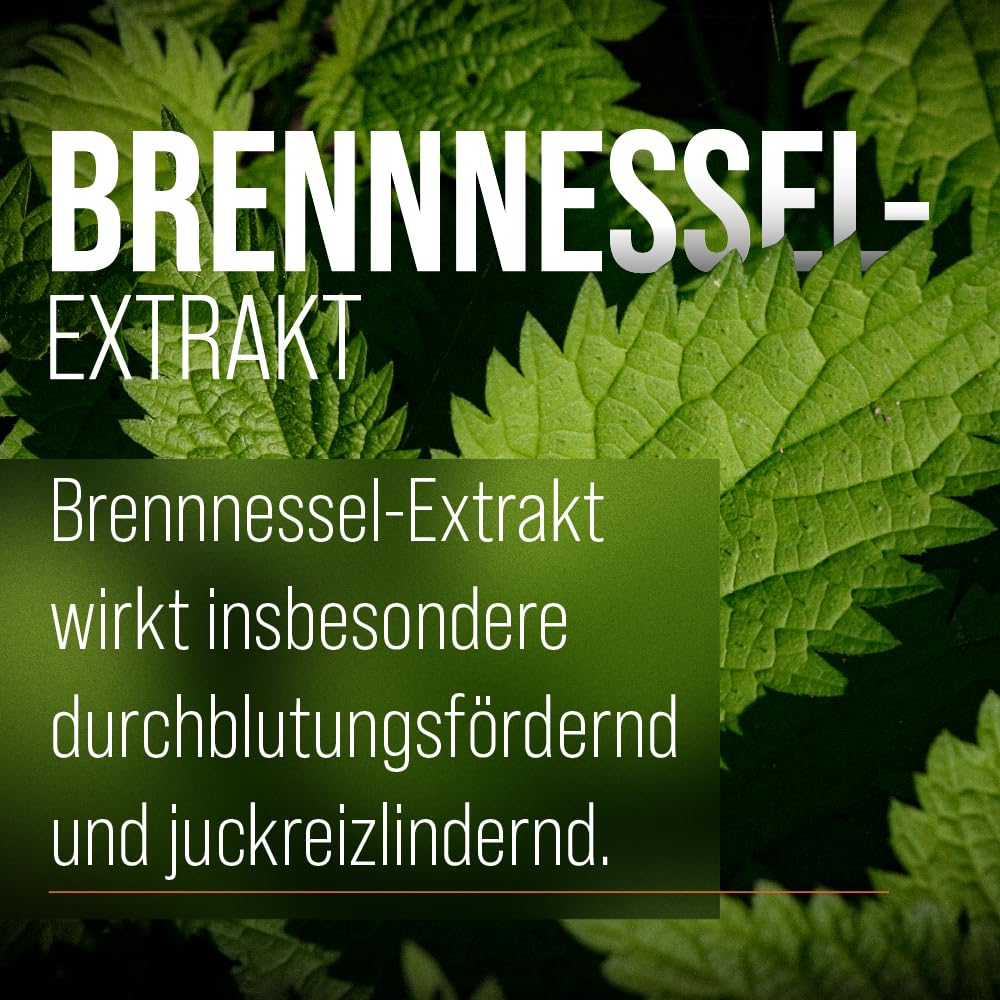 sanct-bernhard-brennnessel-shampoo-anti-schuppen-500-ml-fettiges-haar image 2