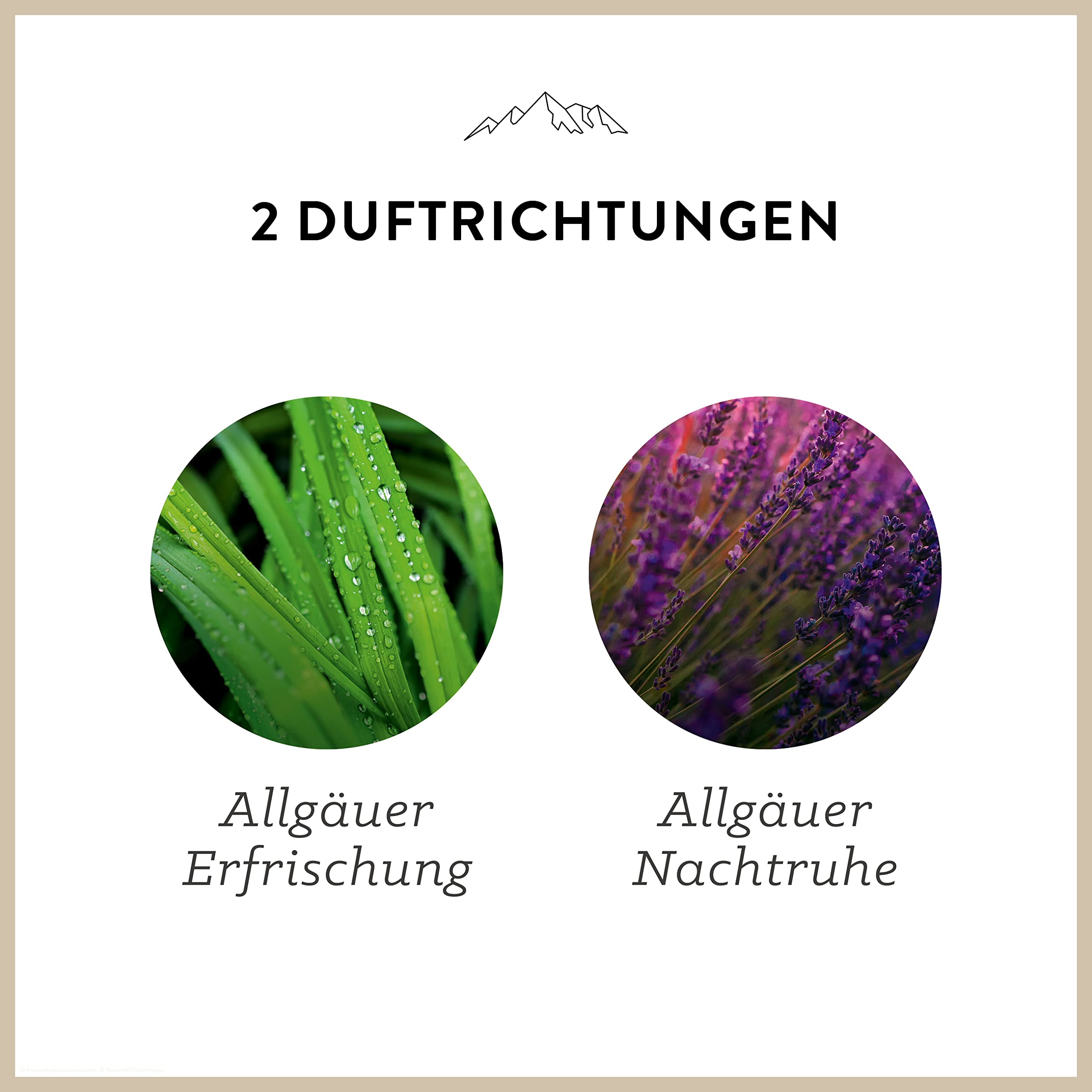 allg-uquelle-k-rper-le-bio-k-rper-l-set-2x50-ml image 4