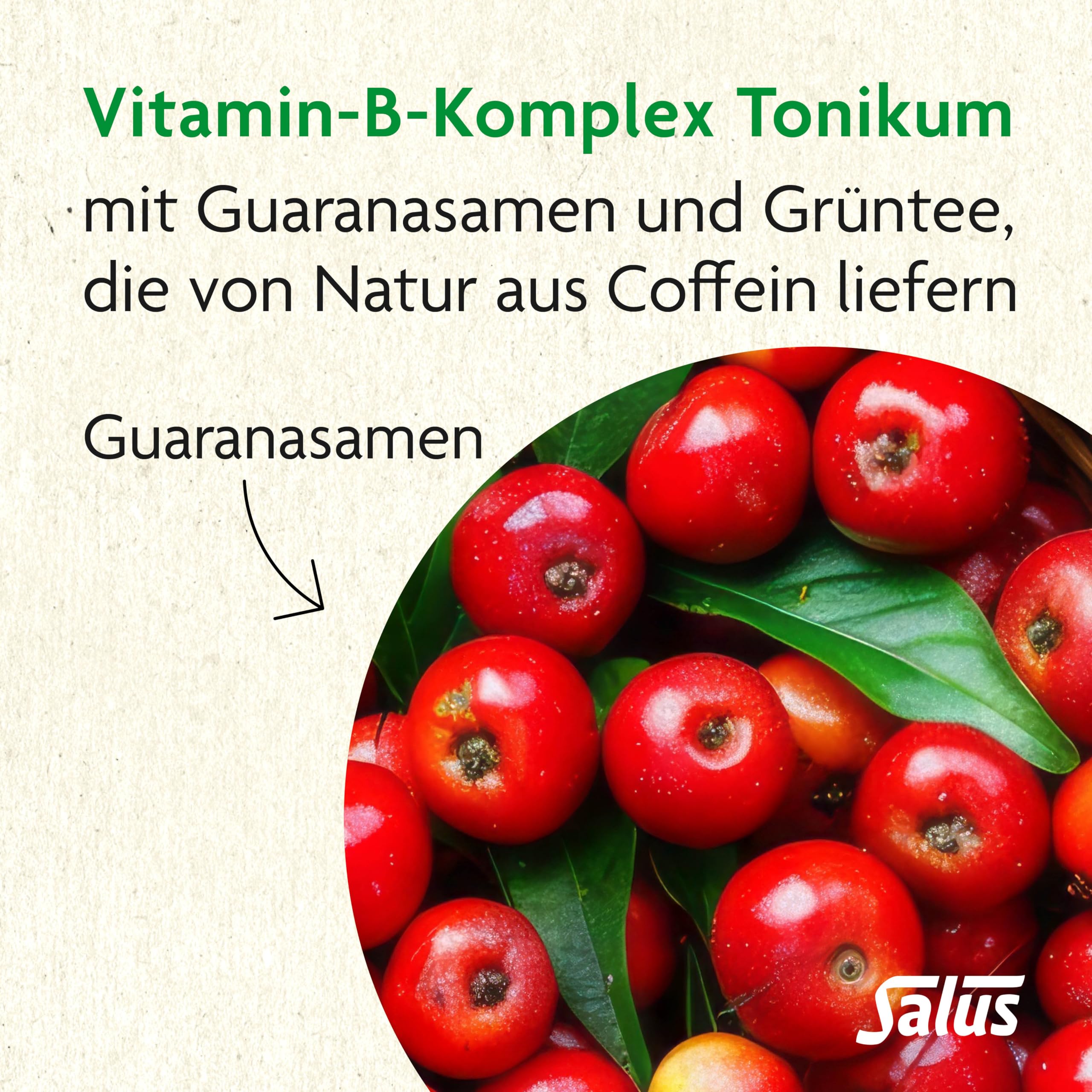salus-salusan-vitamin-b-komplex-tonikum-250-ml-energie-nerven image 4