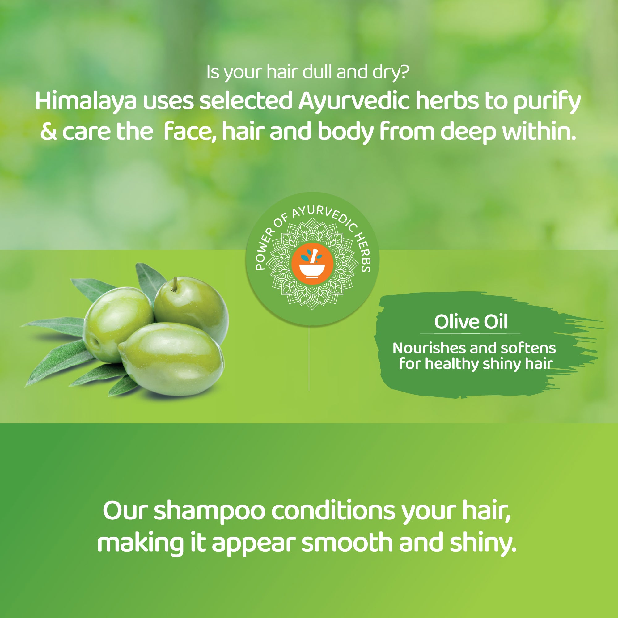 himalaya-protein-shampoo-glanz-geschmeidigkeit-400-ml image 3