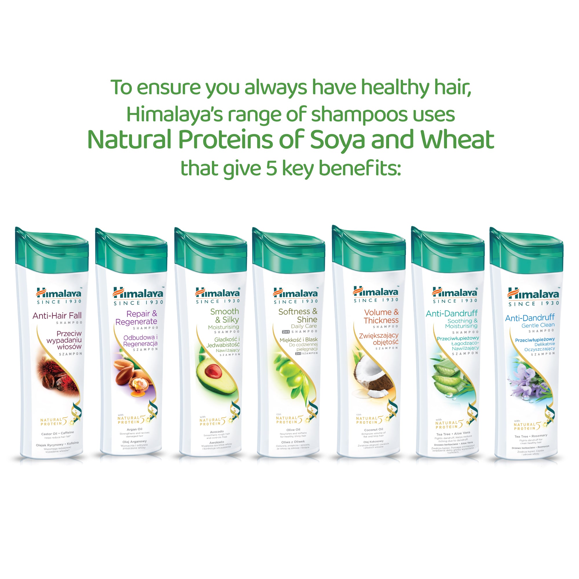 himalaya-repair-regenerate-protein-shampoo-400-ml-argan-l image 6