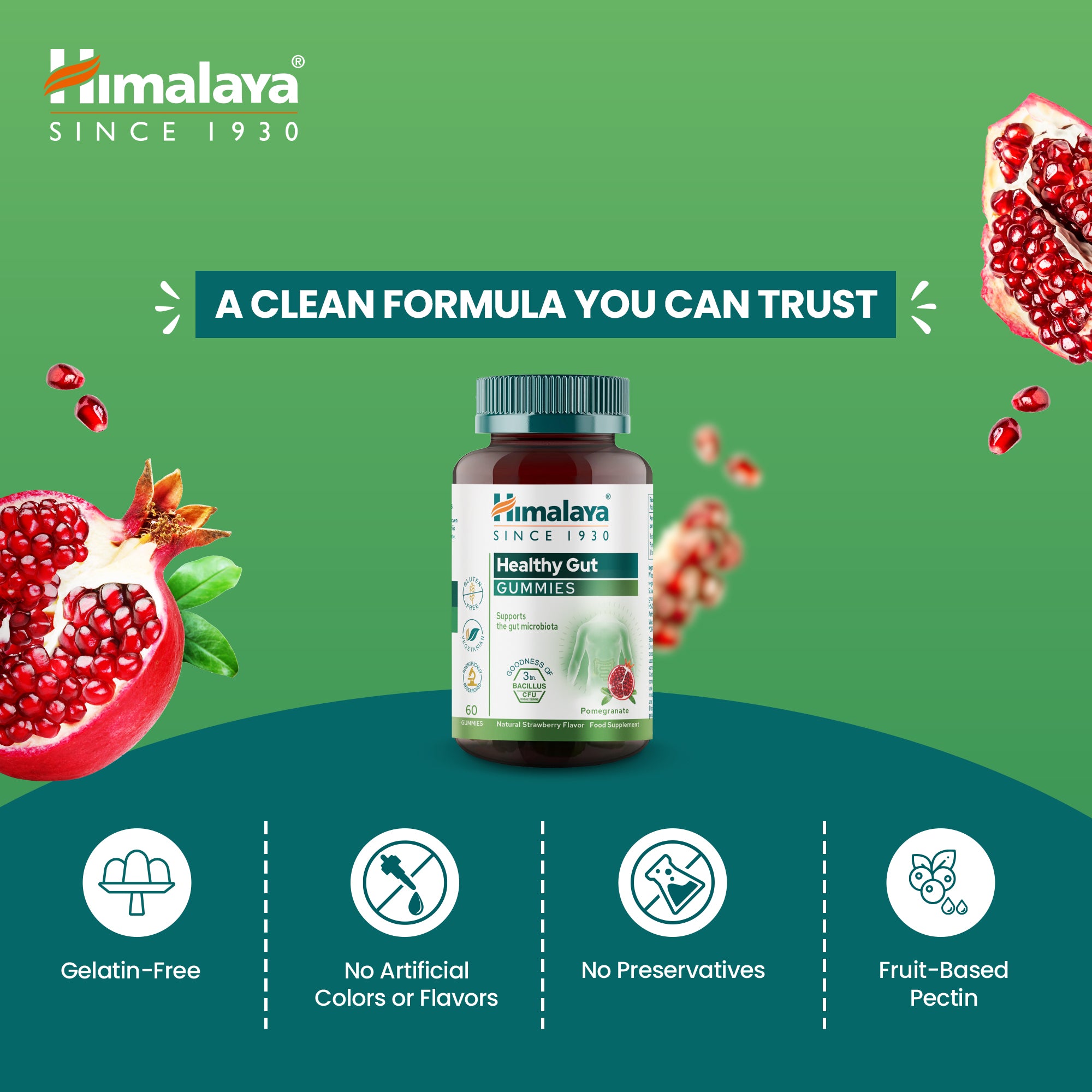 himalaya-healthy-gut-gummies-60-st-ck-probiotikum image 4