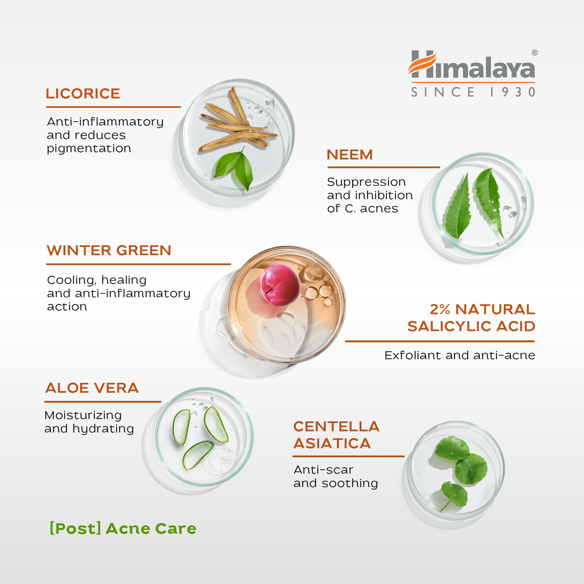 himalaya-acne-clear-serum-narben-gesichtserum-30-ml-unreine-haut image 4