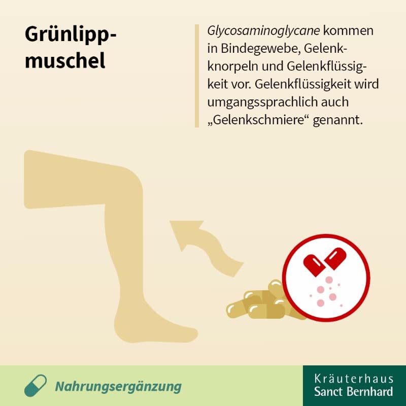 sanct-bernhard-muschelenergie-plus-gr-nlippmuschel-q10-120-kapseln image 6