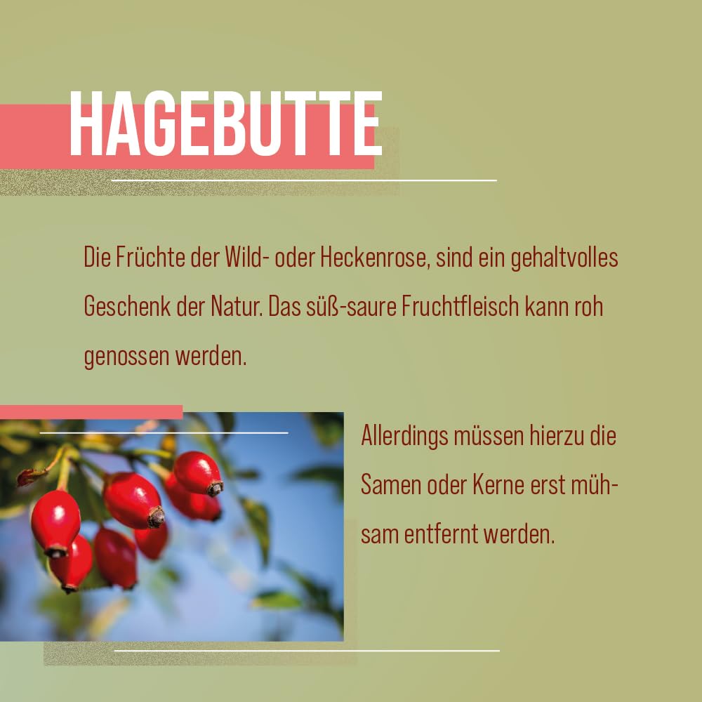 sanct-bernhard-bio-hagebutten-pulver-500-g-vegan-smoothie image 2
