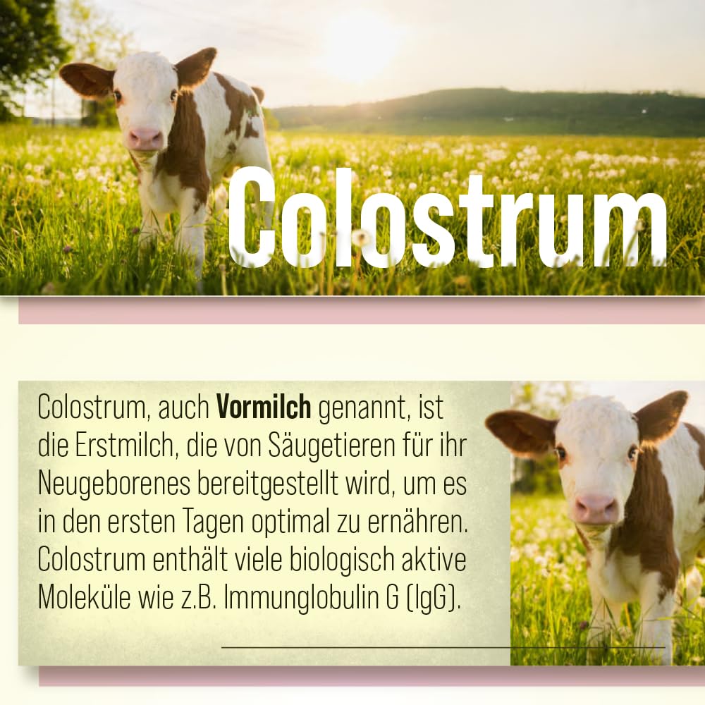 sanct-bernhard-colostrum-90-kapseln-90-st-ck-mit-igg image 2