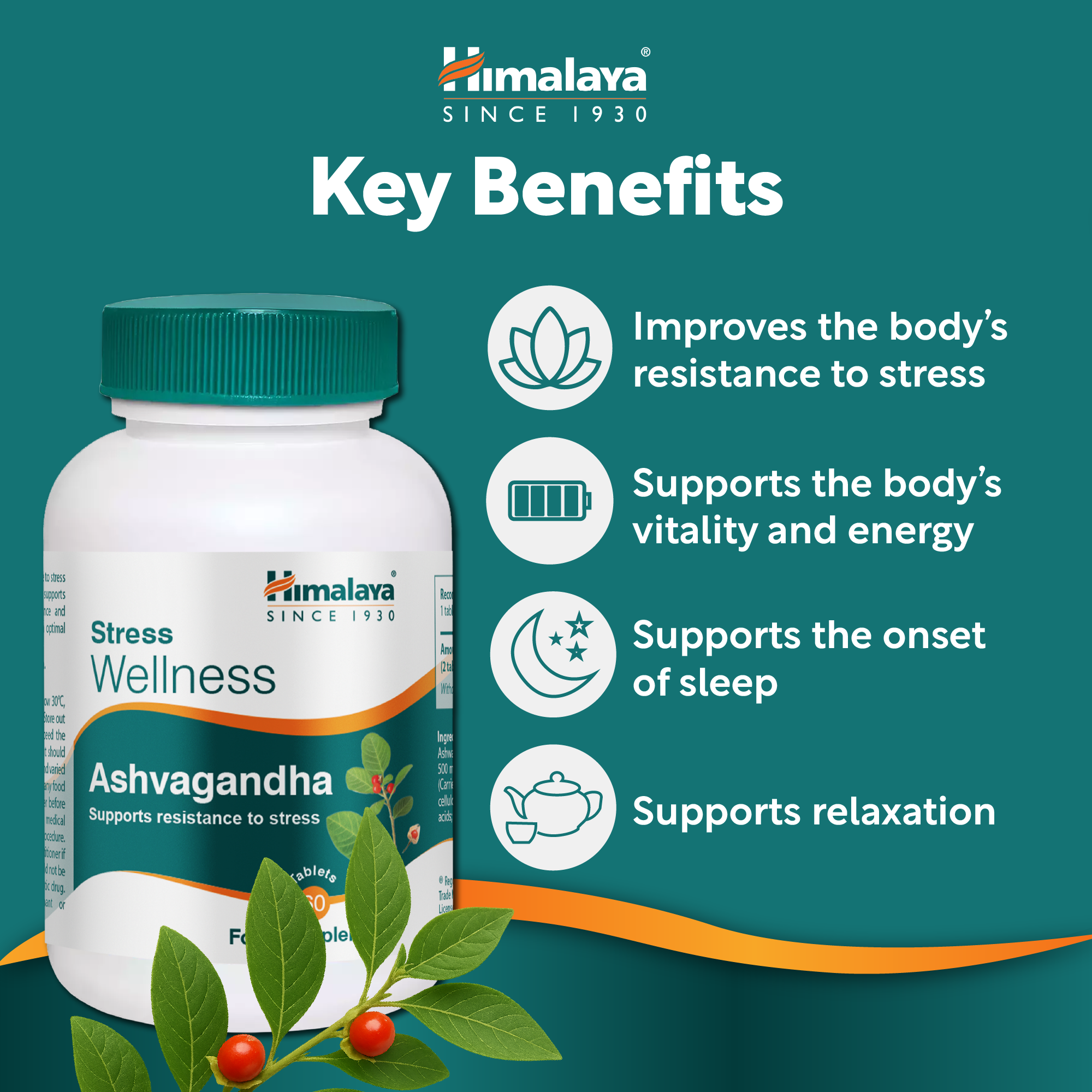 himalaya-ashvagandha-stress-wellness-60-tabletten-vegan image 3