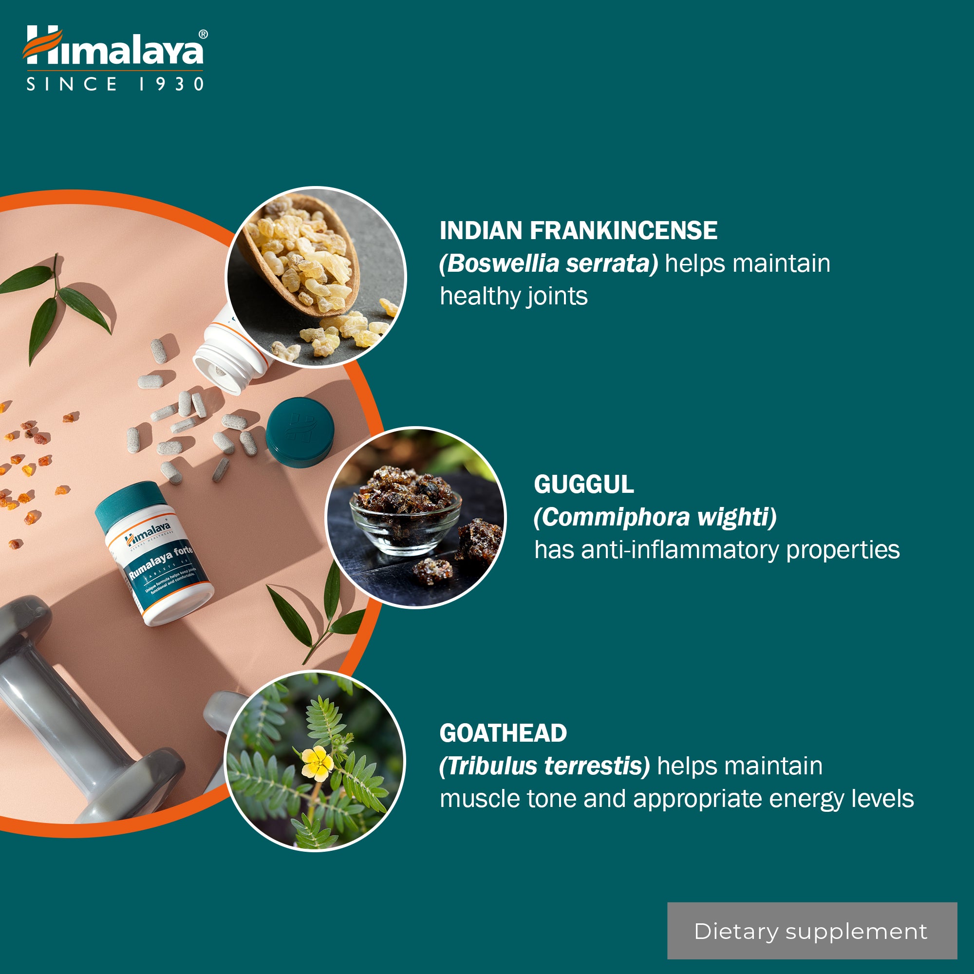 himalaya-rumalaya-forte-tabletten-60-stk-gelenke-muskeln image 5