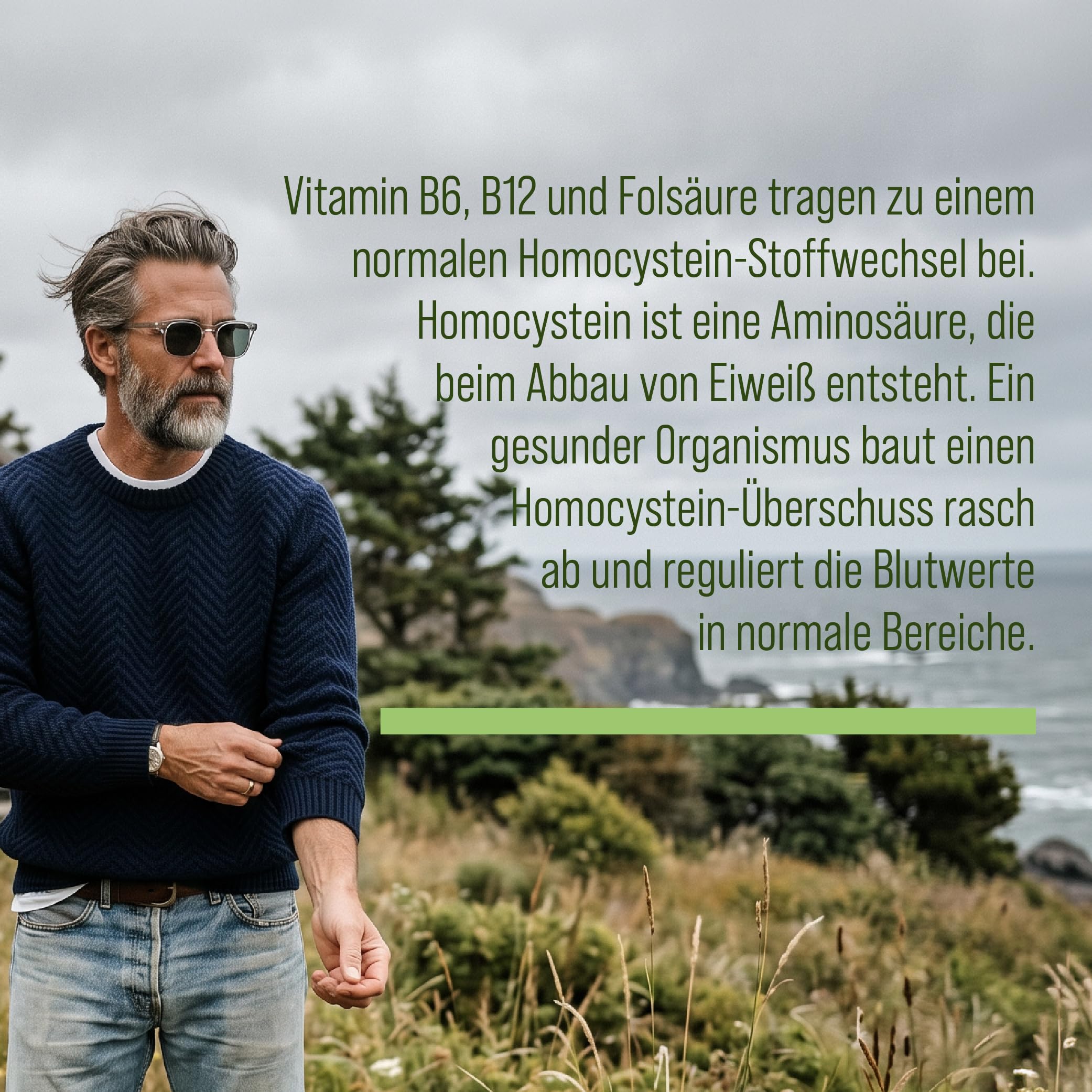 sanct-bernhard-3-b-fit-kapseln-b6-b12-fols-ure-120-kapseln image 3