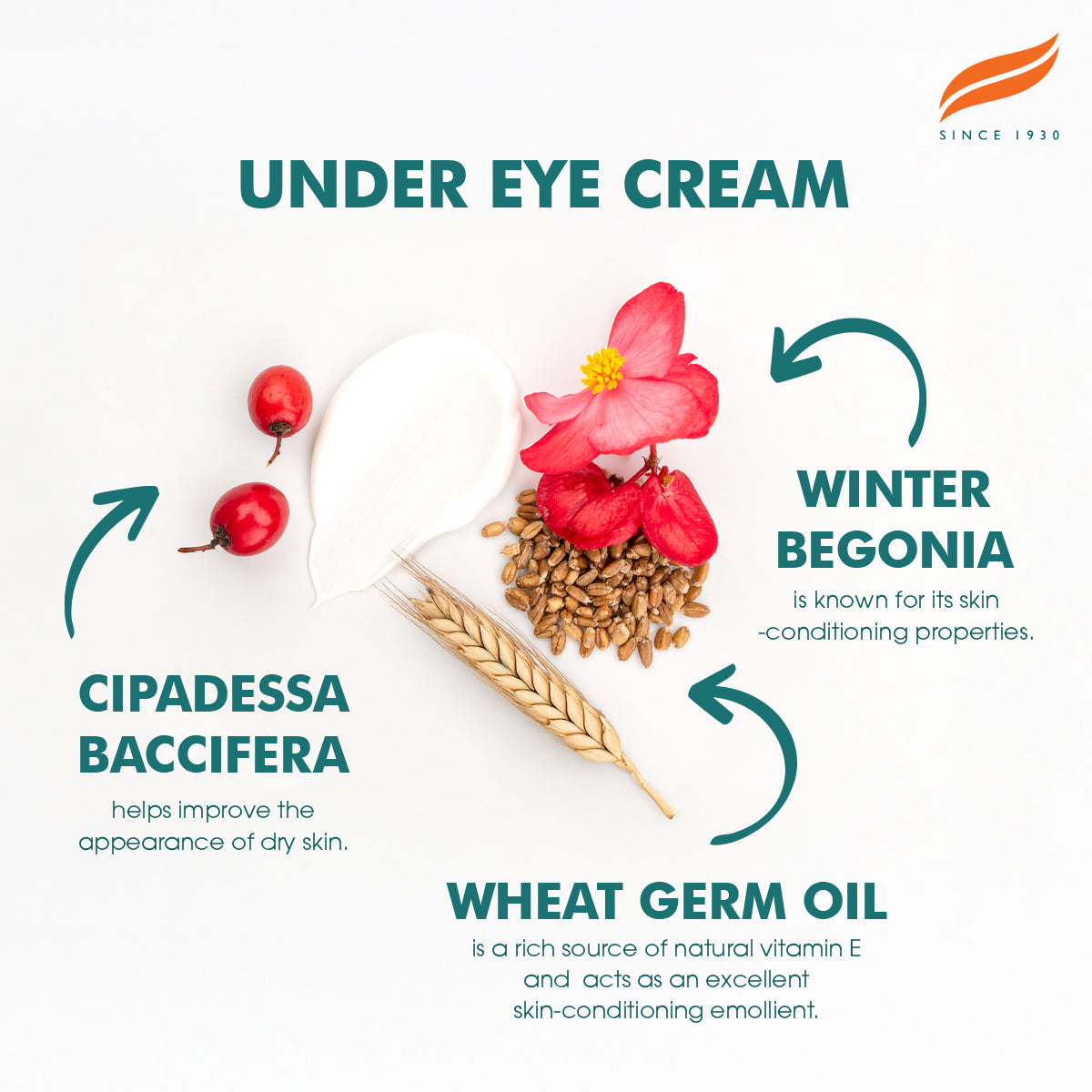 himalaya-augencreme-15-ml-gegen-augenringe-falten image 4