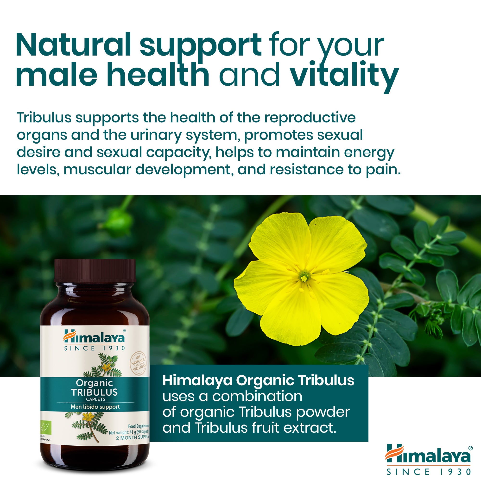 himalaya-bio-tribulus-gokshura-60-caplets-f-r-m-nner image 5