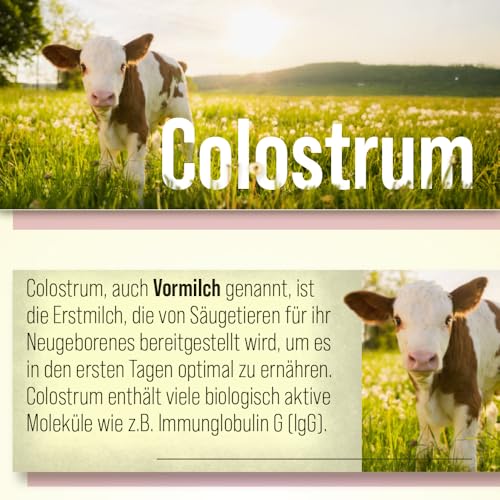 sanct-bernhard-colostrum-90-kapseln-90-st-ck-mit-igg image 7