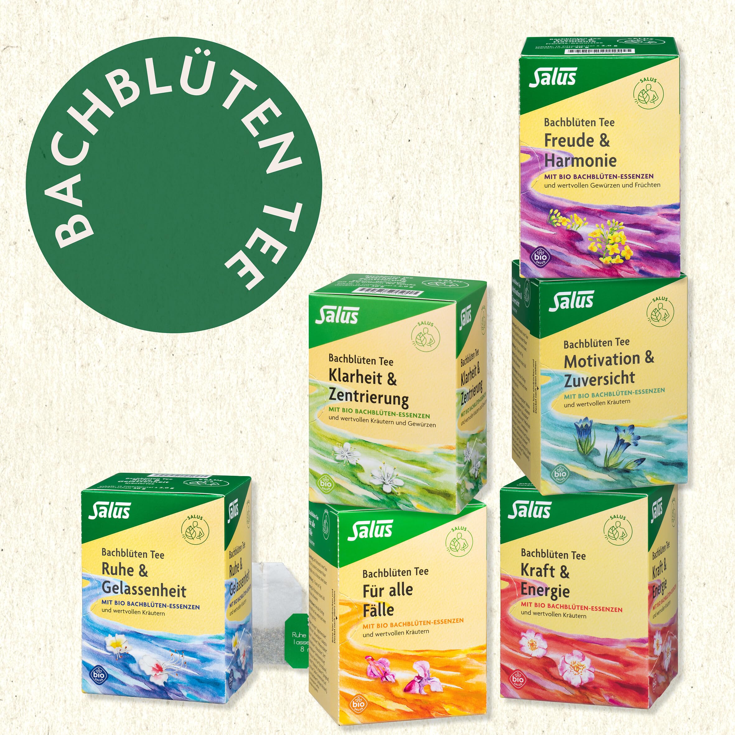 salus-bachbl-ten-tee-klarheit-filterbeutel-15x-bio-30-g image 6